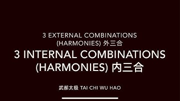 Tai Chi Wu Hao 6 Harmonies(3 External & 3 internal) 内外三合