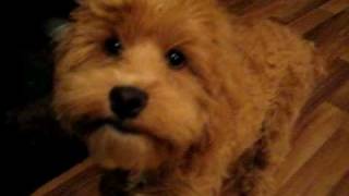 MVI_5234.AVI