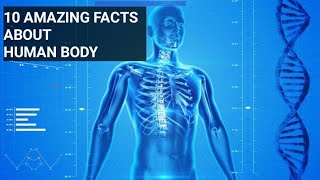 10 AMAZING FACTS ABOUT HUMAN BODY || मानव शरीर के 10 आश्चर्यजनक तथ्य ||