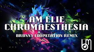 Amelie - Chromaesthesia (Brunny Loopstation Remix)