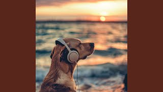 Playful Ocean Barks