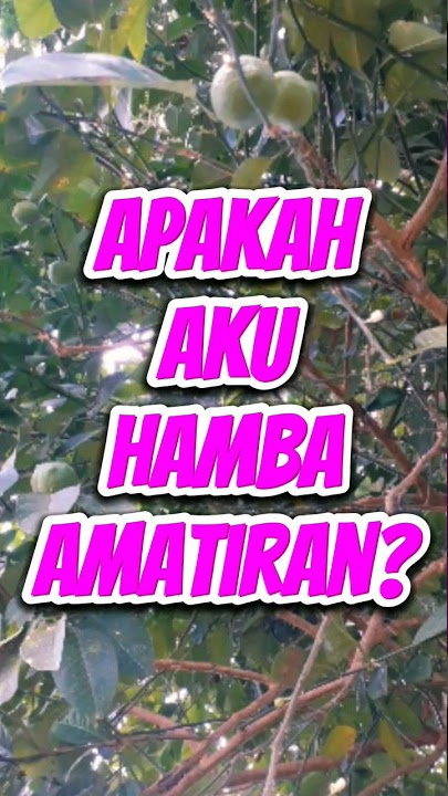 HAMBA AMATIRAN #hamba #penghambaan #menyembah #inspirasi #motivasi #shorts