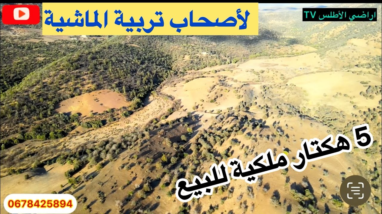ارض ملكية 5 هكتار للبيع لأصحاب الرعي والدواجن ارض غابوية مدينة خنيفرة تمن البيع 18 مليون 