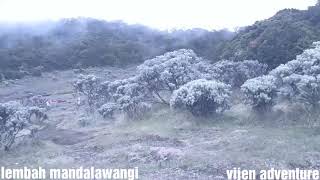 Lembah mandalawangi pangrango