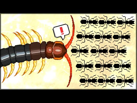 Видео: САМОЕ РЕДКОЕ СУЩЕСТВО СОРОКОНОЖКА! В ПОИСКАХ СОРОКОНОЖКИ. Pocket Ants: Симулятор Колонии