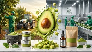 Inside America's Largest Avocado Packing Factory | Millions of Avocados Sorted Daily (Full Process) 