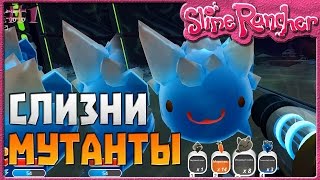 картинка: СЛИЗНИ МУТАНТЫ | Slime Rancher [1]