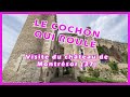 Ref:faUe3yeOCuk Le cochon qui roule visite le ch�teau de montr�sor