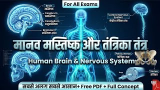 मानव मस्तिष्क ( Human Brain) 3d Infographic Notes | Biology for Scc,Railway, 12th,10th and all Exams
