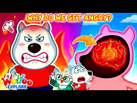 Why Do We Get Angry? 😡 Brain on Anger | 🔍Wolfoo Explore - Human Body | Educational Videos