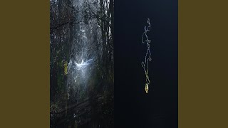Into The Night (feat. acid)