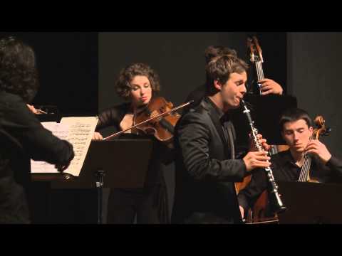 H. J. Baermann | Adagio D flat major for clarinet and strings | Sebastian Manz | do.gma