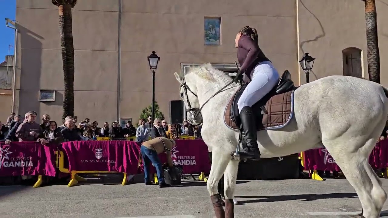 Porrat de Sant Antoni a Beniopa 2026