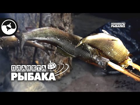 Зимняя рыбалка. Хариус. Деревня саамов | Планета рыбака