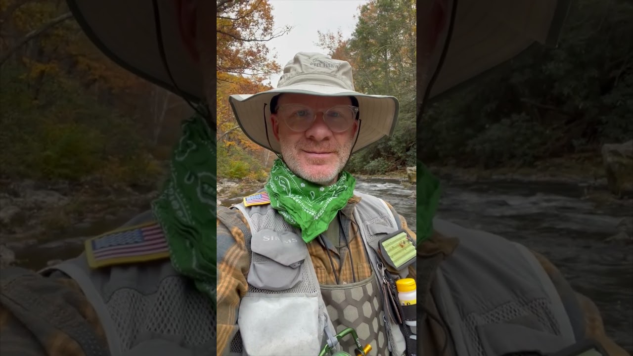 A NEW Griffith's Gnat variation on the Savage River 