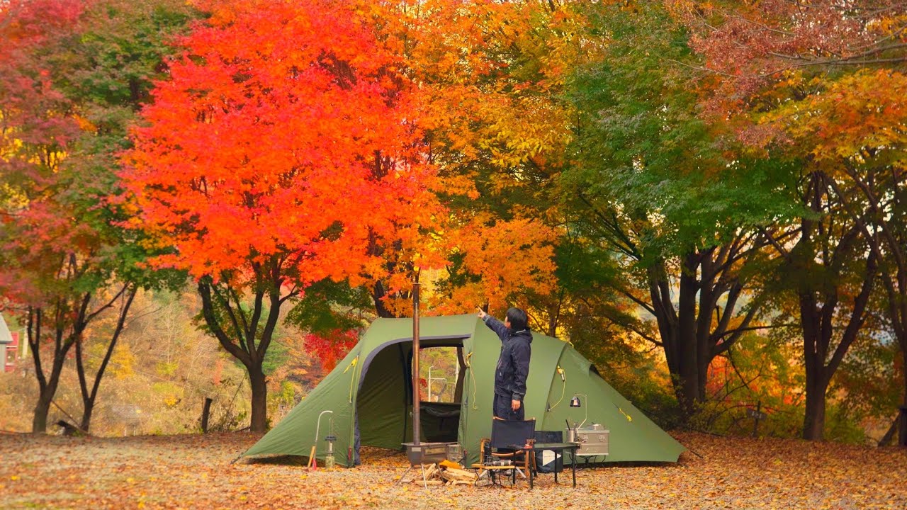 빨,노,초 알록달록 단풍숲속 솔캠🍁 아직도 여기를 모르시나요?ㅣ헬스포츠 김레ㅣ캠핑브이로그