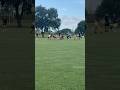 FlagFootball 🏈 Defense #flagfootball #football