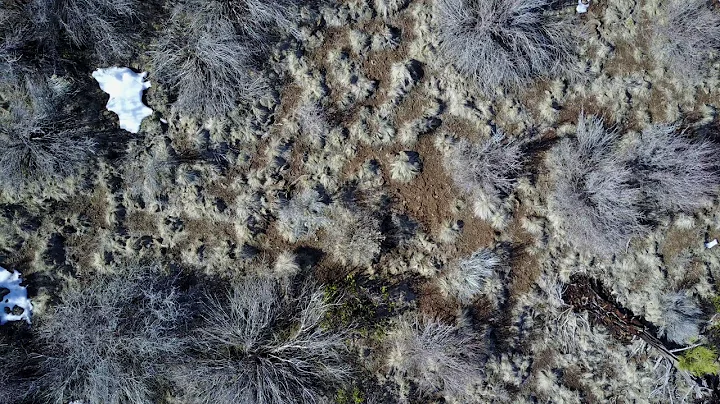 Bend, Oregon, Tetherow Mavic Pro 2017 Carey Greiner