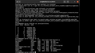 Red Hat 8 Enterprise Server - Formatting a Disk with XFS
