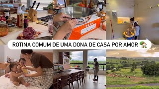 Como fazer bife macio | Comprei uma panela nova da Le Creuset | Rotina com almoço e 3 filhos | Vlog