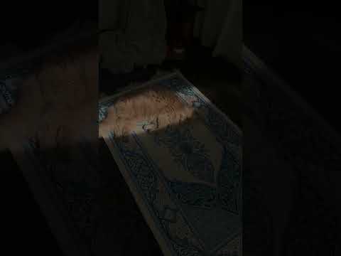ربي اشرح لي صدري ويسر لي امري يارب يالله