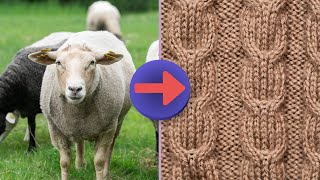 Wool Harvesting, Wool Production and Processing. From Sheep Shearing to Fabric Factory Production by Stellar Eureka 869 views 6 months ago 7 minutes, 42 seconds