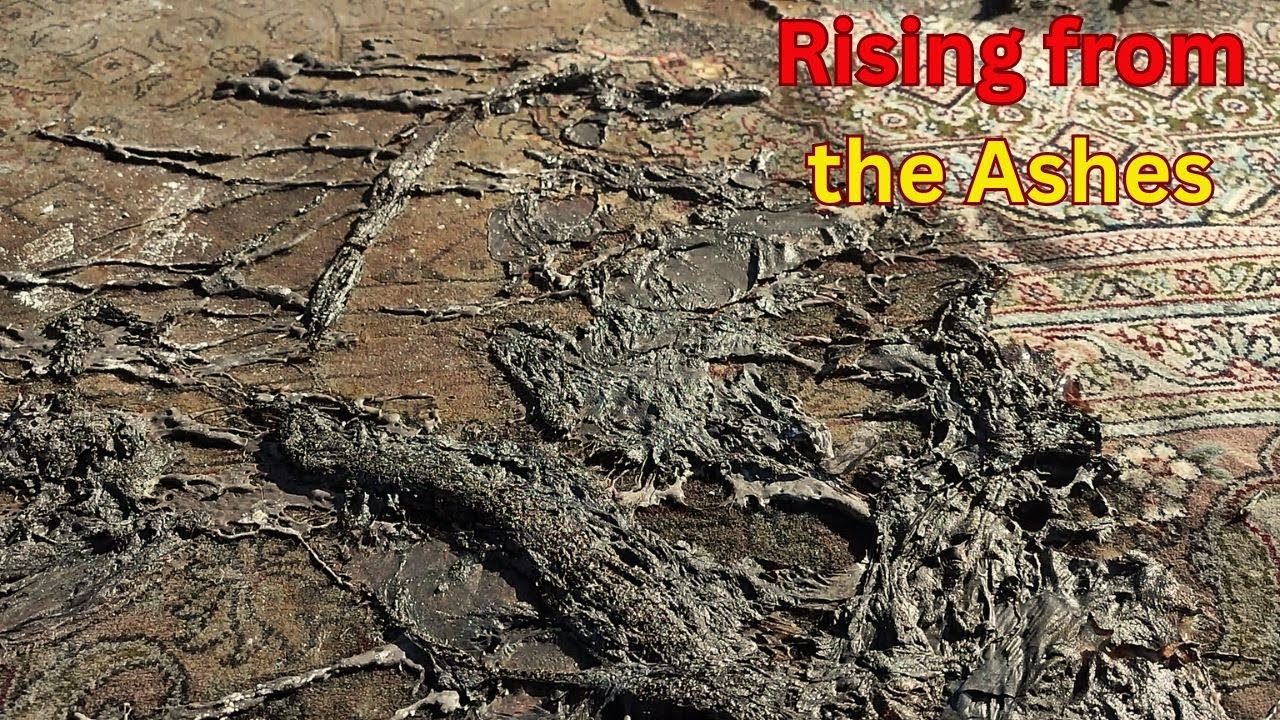 steam cleaning carpet satisfying deep cleaning carpet detailing