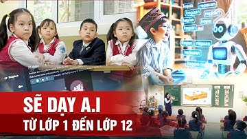 Sẽ dạy A.I. từ lớp 1 đến lớp 12 | VTV24