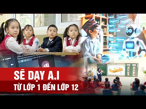 Sẽ dạy A.I. từ lớp 1 đến lớp 12 | VTV24