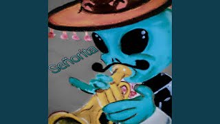 Download Lagu Señorita