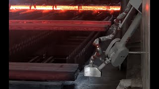 (CCM) 3D Vision Robot Marking System