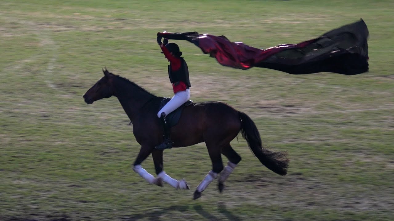 Elmloher Reitertage 2023: Die grandiose Vorstellung von Showreiterin Lisa Röckener