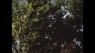 Barna Howard - Quite a Feelin (Album Teaser)