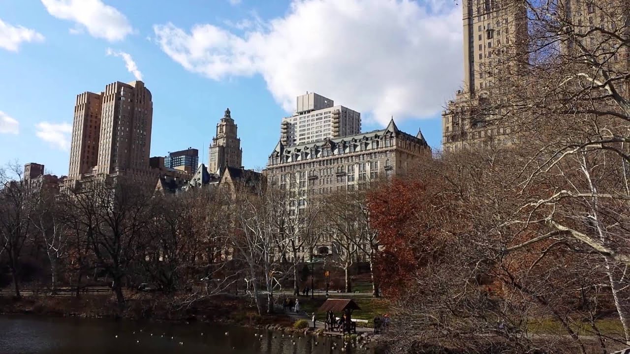 camera iphone 8 plus apk Central Park Manhattan New York December 2014