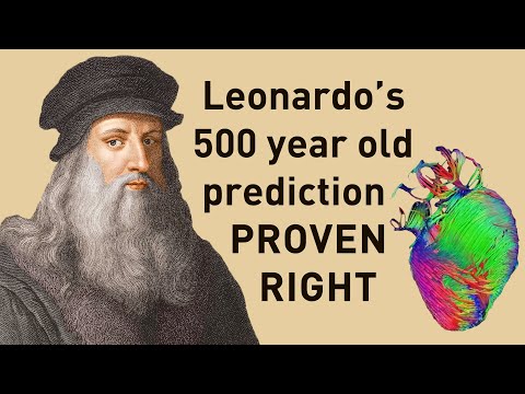 Leonardo da Vinci&rsquo;s theory about the heart was right