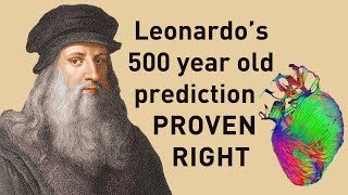 Leonardo Da Vincis Theory About The Heart Was Right