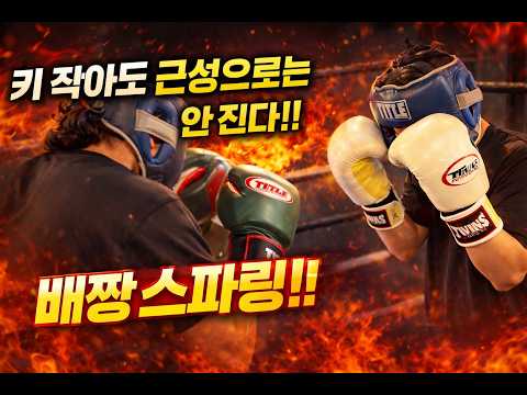 키는 작아도 근성은 안 진다… <strong>배짱</strong> 스파링 실화냐? #복싱 #40대아재복서 #권투