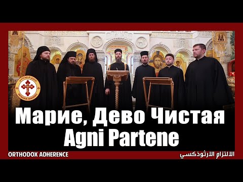 Russian Byzantine Orthodox: Agni Parthene (Αγνή Παρθένε) | Марие, Дево Чистая (English Subtitles)