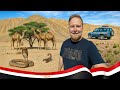 🇪🇬 Єгипет. Прихований скарб пустелі! Дикий оазис El Malacha. Елітний курорт Ель-Гуна