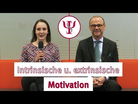Intrinsische und extrinsische Motivation | Psychologie mit Prof. Erb