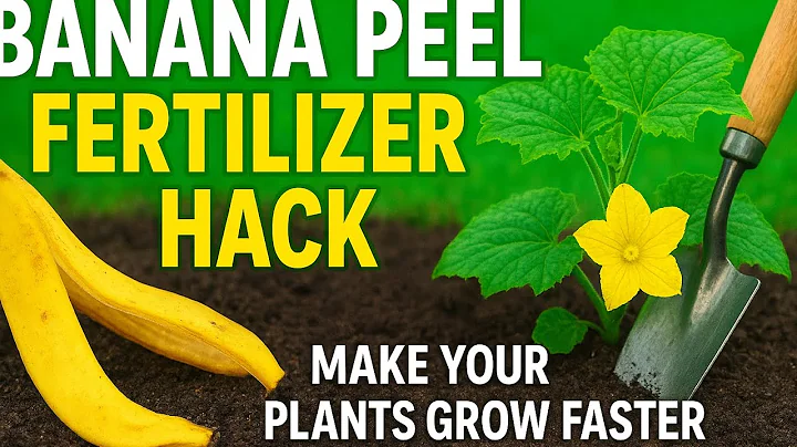 Banana Peel Fertilizer Hack: Make Your Plants Grow Faster