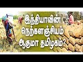 இந்தியாவின் நெற்களஞ்சியம் ஆகுமா தமிழகம்?  | HTT