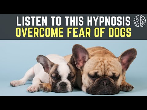 Fear of Dogs Hypnosis|  Cynophobia | Dog Phobia  | Hypnotherapy Unleashed #hypnosis