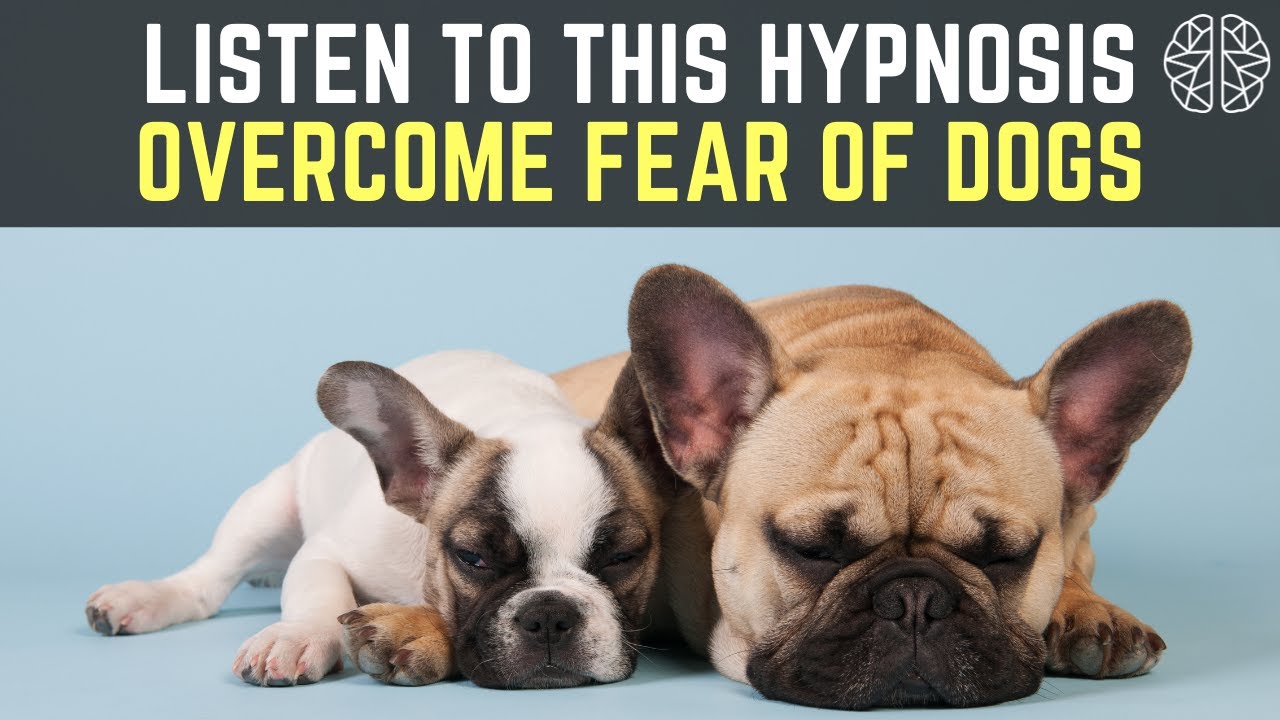Fear of Dogs Hypnosis Cynophobia Dog Phobia Hypnotherapy Unleashed