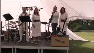 Walk On The Wild Side - Cover By Medusa Live Music Festival In Gent Belgium