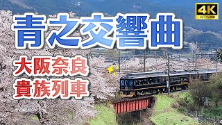 大阪奈良貴族豪華觀光列車✨直通吉野山賞櫻超方便