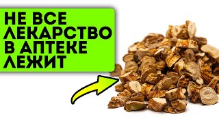 картинка: Об этом вообще мало кто знает! Просто возьми 1 ст ложку сухого корня, добавь воды и...
