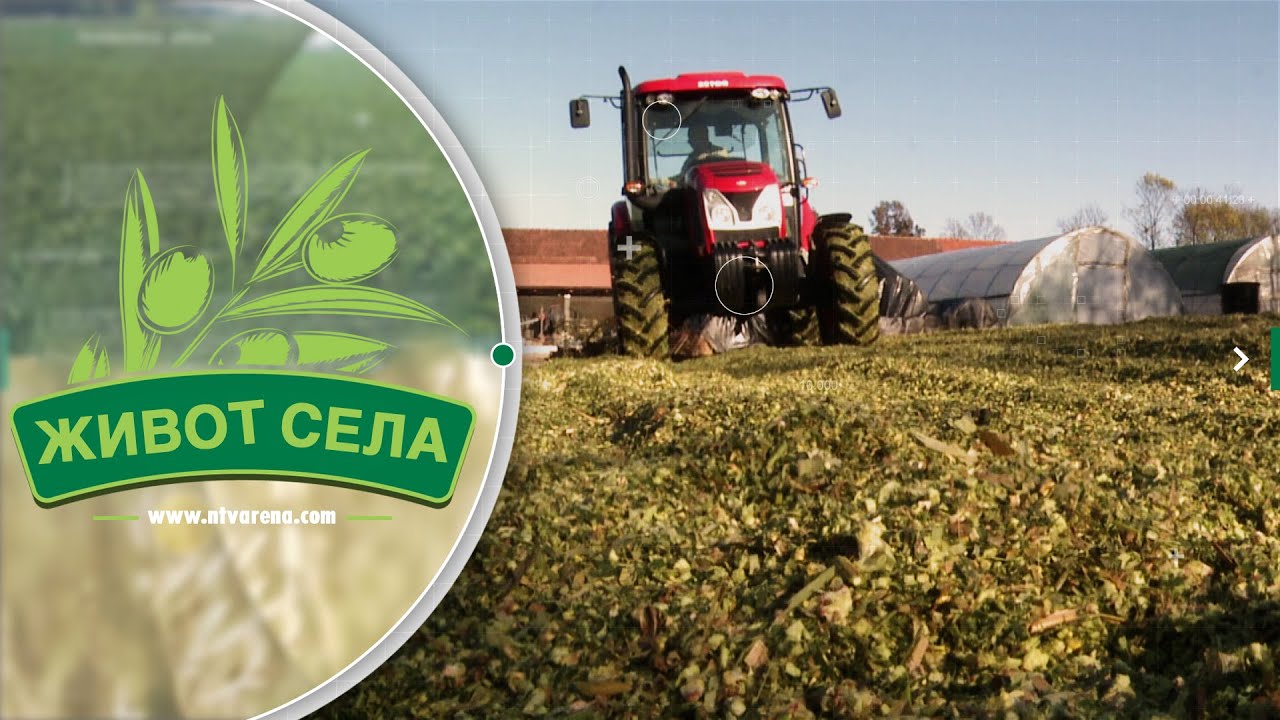 Aleksići obezbijedili 20 vagona silaže iz postrne sjetve, u planu i povećanje broja muznih krava