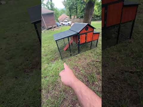 Producers Pride Sentinel Chicken Coop Honest Review