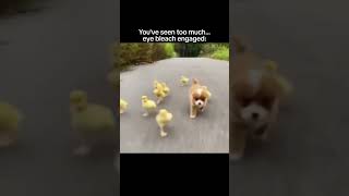Eye Bleach Eye Bleach